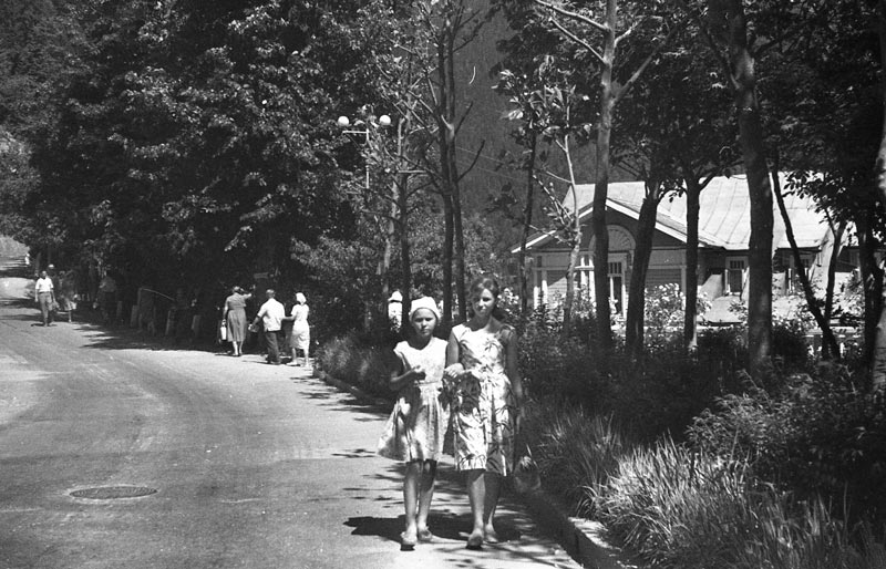 ���� 1961 ���